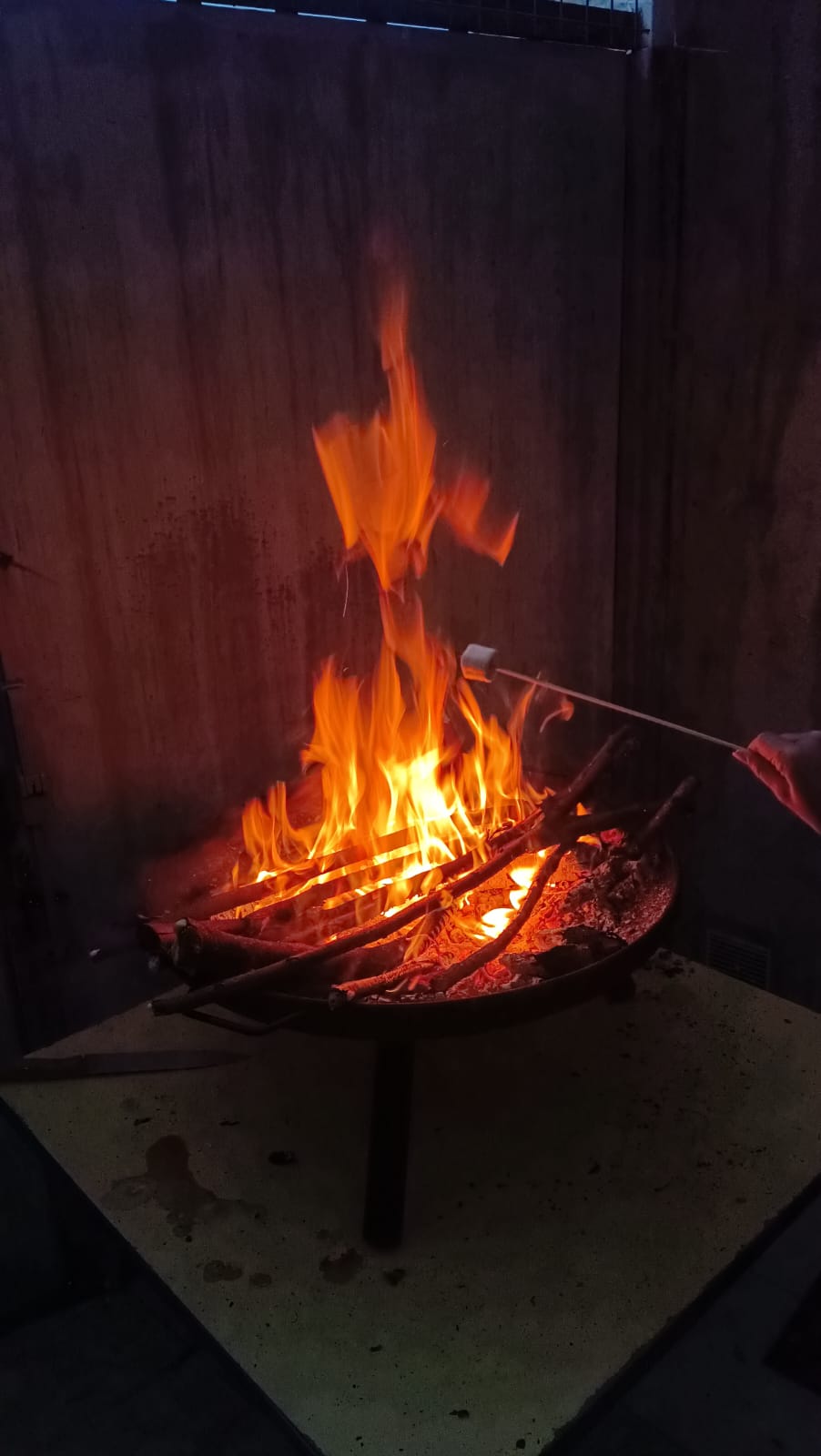 Jeux et Tartiflette pour les louveteaux Jeannettes